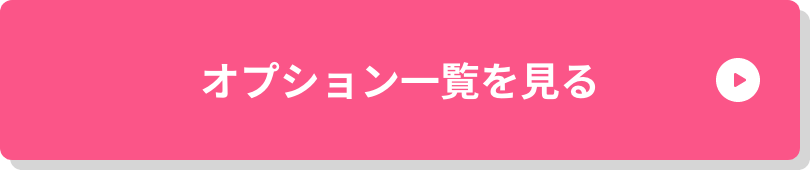 オプション一覧を見る