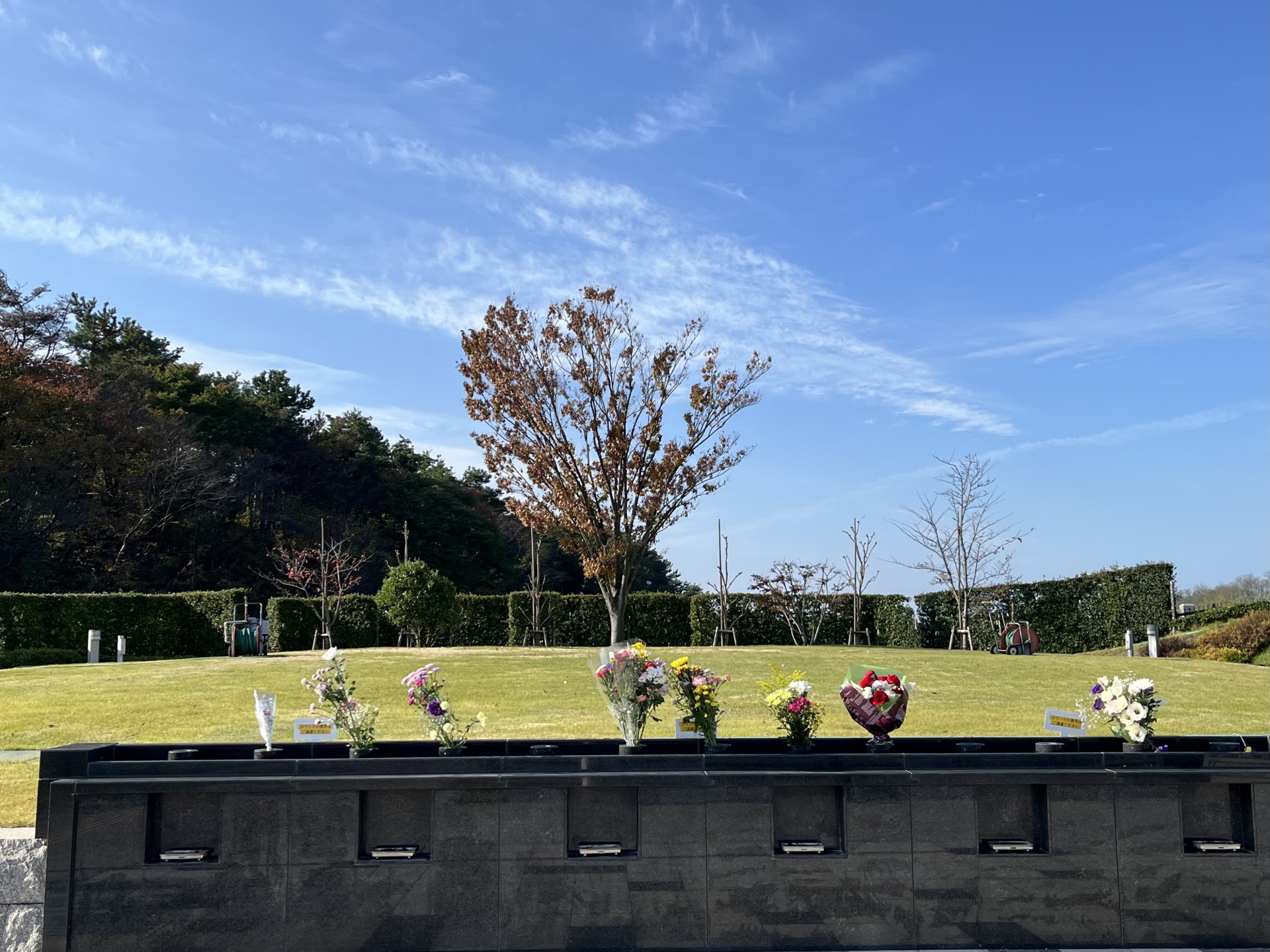 知っておきたいそのほかの葬儀・埋葬の形